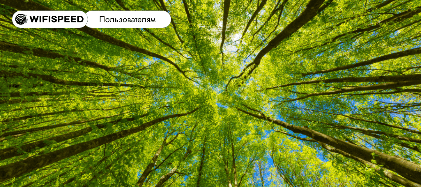 Сервис WiFiSpeed — конечным пользователям